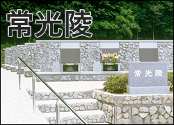 �����(�����t����n)